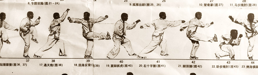 What is Wushu? ☯ Modern form of Traditional Chinese Martial Arts